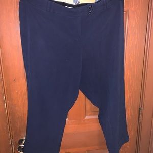 Dressbarn pants